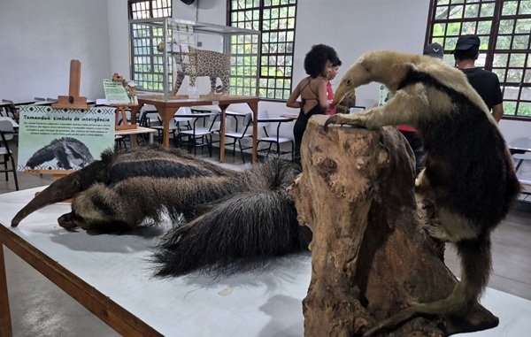 WhatsApp-Image-2026-04-07-at-17.11.44