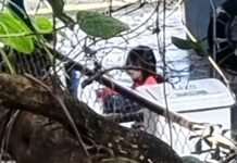 Família denuncia isolamento de criança autista em escola de Guarulhos