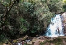 Santo Antônio do Pinhal se destaca como destino de inverno perto de Guarulhos