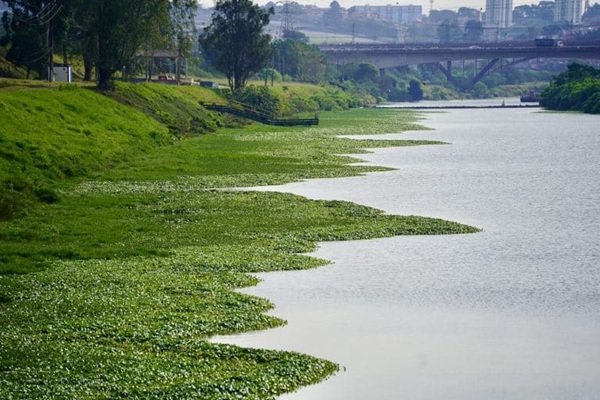 Rio-Pinheiros-Foto-Celso-Dias-Governo-de-SP-768x512-1