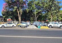 Polícia Rodoviária apreende 458 quilos de drogas em SP