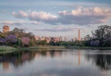 Sugestões de passeios em São Paulo para o feriado prolongado
