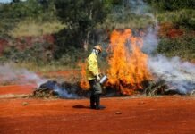 Defesa Civil informa que 90% dos incêndios em SP são causados por humanos