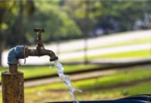 Programa Município VerdeAzul abre adesão para municípios paulistas