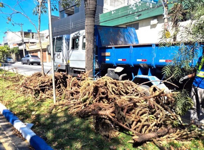 Guarulhos retira descarte irregular de vias na região de Cumbica