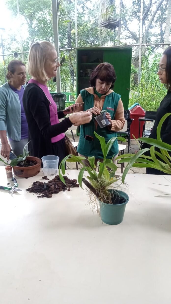 Orquídeas, abelhas e aves compõem a agenda ambiental de agosto da Prefeitura de Guarulhos