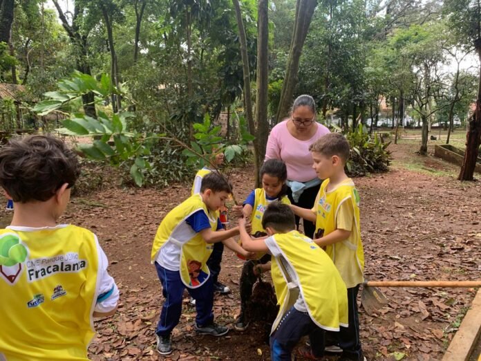 Plantios de espécies nativas mobilizam Guarulhos em setembro