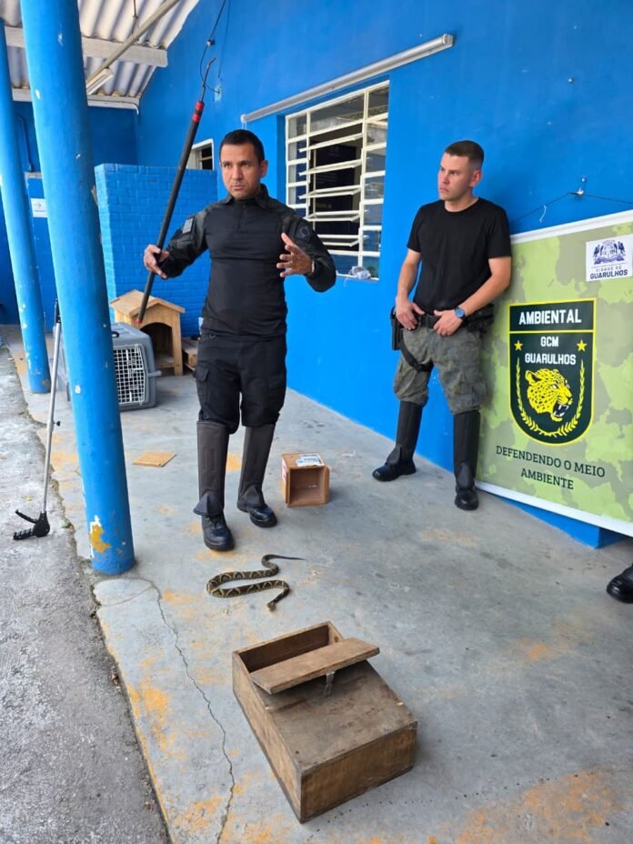 Agentes da GCM recebem capacitação sobre serpentes