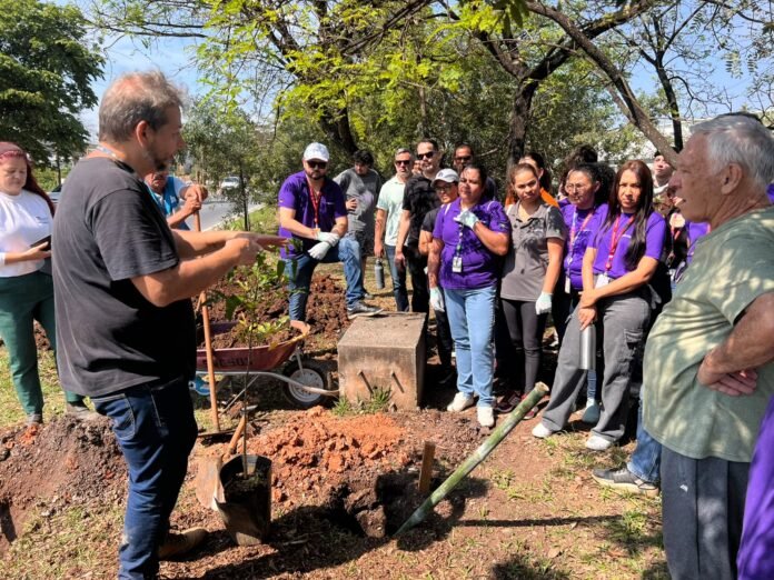 Guarulhos encerra ações do Dia da Árvore com 470 mudas